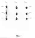 Fig. 09 - Generating a digital image using a generative adversarial network