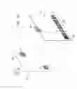 Fig. 18 - System and method for quality management utilizing barcode indicators