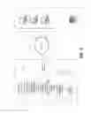 Fig. 11 - BEACONIZED TIME ENTRY SYSTEM