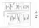 Fig. 11 - Security systems and methods for electronic devices