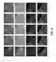 Fig. 11 - Systems and methods for multi-spectral image super-resolution