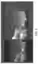 Fig. 08 - Patch validity test