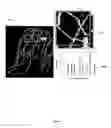 Fig. 08 - Vascular network organization via Hough transform (VaNgOGH): a radiomic biomarker for diagnosis and treatment response