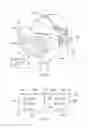 Fig. 02 - Head-mountable apparatus and methods
