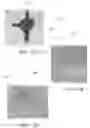 Fig. 22 - SURGICAL SIMULATION SYSTEMS, METHODS, AND COMPOSITIONS