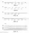 Fig. 07 - List insertion in test segments with non-naturally aligned data boundaries