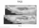 Fig. 19 - METHODS FOR FRAGMENTOME PROFILING OF CELL-FREE NUCLEIC ACIDS