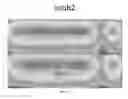 Fig. 21 - METHODS FOR FRAGMENTOME PROFILING OF CELL-FREE NUCLEIC ACIDS