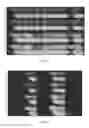 Fig. 32 - METHODS FOR FRAGMENTOME PROFILING OF CELL-FREE NUCLEIC ACIDS