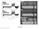 Fig. 33 - METHODS FOR FRAGMENTOME PROFILING OF CELL-FREE NUCLEIC ACIDS