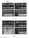Fig. 35 - METHODS FOR FRAGMENTOME PROFILING OF CELL-FREE NUCLEIC ACIDS