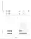 Fig. 40 - METHODS FOR FRAGMENTOME PROFILING OF CELL-FREE NUCLEIC ACIDS