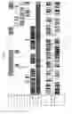 Fig. 57 - Methods for identifying DNA copy number changes using hidden markov model based estimations
