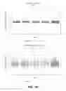 Fig. 04 - Anomalous fragment detection and classification
