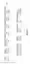 Fig. 03 - Viral neoepitopes and uses thereof