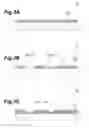 Fig. 04 - Thin film capacitor and manufacturing method thereof