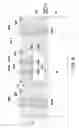 Fig. 07 - Package structure and manufacturing method thereof