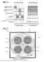 Fig. 07 - Substrate processing apparatus and method of manufacturing semiconductor device
