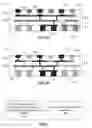 Fig. 03 - EXPOSING CIRCUITRY FOR DIE TESTING