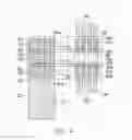 Fig. 05 - Reduced area eFuse cell structure