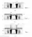 Fig. 06 - Electrical fuse and/or resistor structures