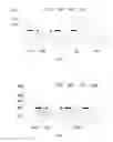 Fig. 04 - Integrated circuit packaging structure and method