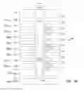 Fig. 28 - Apparatuses and methods for forming multiple decks of memory cells