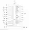 Fig. 38 - Apparatuses and methods for forming multiple decks of memory cells