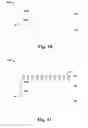 Fig. 08 - Absorption enhancement structure for image sensor