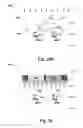 Fig. 17 - Absorption enhancement structure for image sensor