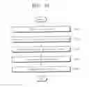 Fig. 10 - Organic light emitting device