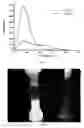 Fig. 03 - SYSTEMS BASED ON 5-BROMO-7-AZAINDOLE DERIVATIVES AS FUTURE SOLID EMITTERS