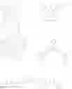 Fig. 293 - Organic electroluminescence device and electronic device