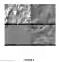 Fig. 04 - Flexible electrode-separator elements and processes for their preparation