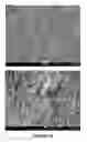 Fig. 11 - Flexible electrode-separator elements and processes for their preparation