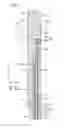 Fig. 09 - Fuel cell stack, fuel cell stack dummy cell, method of producing dummy cell