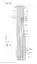 Fig. 11 - Fuel cell stack, fuel cell stack dummy cell, method of producing dummy cell