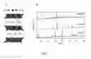 Fig. 02 - SODIUM ION BATTERY CATHODES