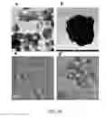 Fig. 04 - SODIUM ION BATTERY CATHODES