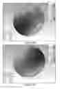 Fig. 13 - Multi-filtenna system