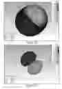 Fig. 14 - Multi-filtenna system