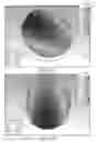 Fig. 20 - Multi-filtenna system