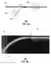 Fig. 07 - Dielectric dish antenna system and methods for use therewith