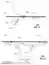 Fig. 10 - Dielectric dish antenna system and methods for use therewith