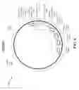 Fig. 07 - Facilitation of charge of and communication with an electronic device