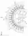 Fig. 07 - Cage induction motor