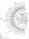 Fig. 09 - Cage induction motor
