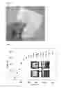Fig. 09 - Paper-based triboelectric nanogenerator and method of manufacturing the same
