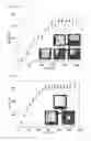 Fig. 10 - Paper-based triboelectric nanogenerator and method of manufacturing the same