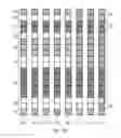 Fig. 15 - Interleaving for the transfer of telegrams with a variable number of sub-packets and successive decoding